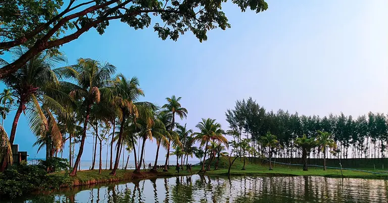 নদীর তীরে সারি সারি নারকেল ও ঝাউ বাগান যেন একে-অপরের চেনা সঙ্গী। ছবি: শাহনুর শাকিব